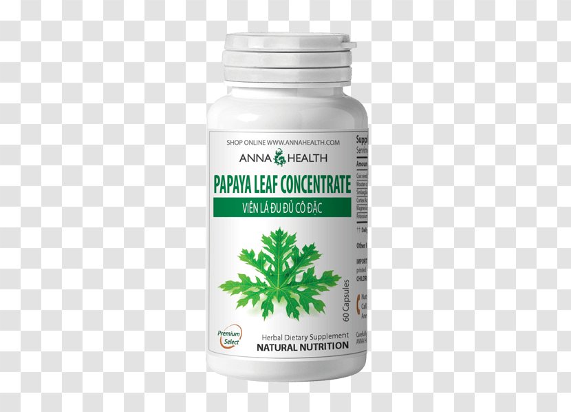 Anna Health LLC - Alternative Services - Acupuncture Tampa FL – Medicine, Pain Management Herbalism Papaya Leaf ExtractConcentrated Herbal Extracts Transparent PNG