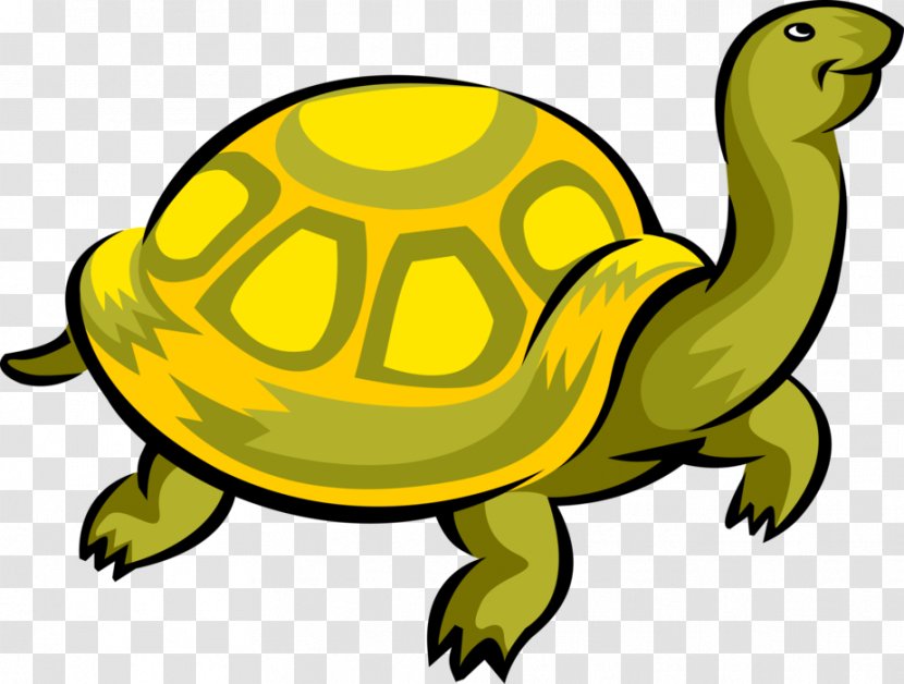 Clip Art Turtle Illustration Vector Graphics - Box - World Day Transparent PNG