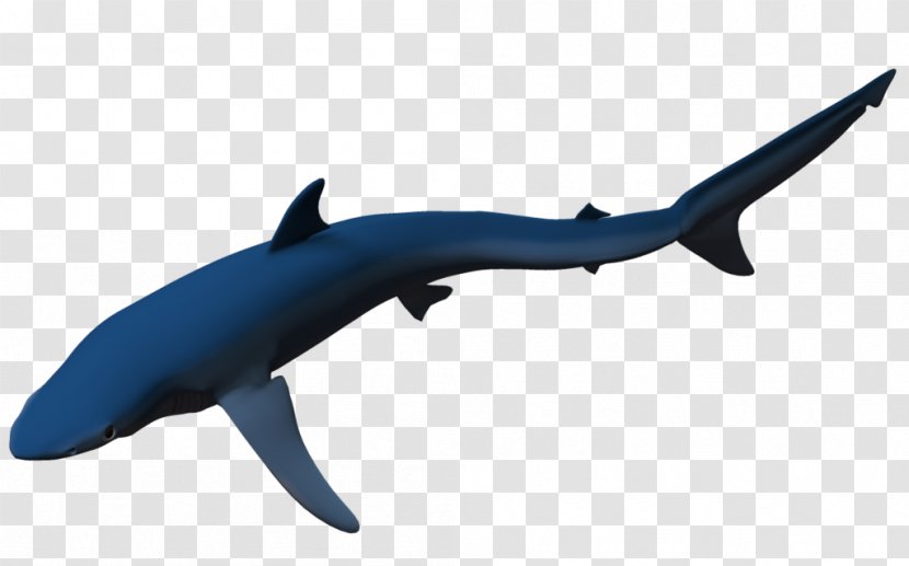 Requiem Sharks Blue Shark Common Bottlenose Dolphin Rendering - 3d Transparent PNG