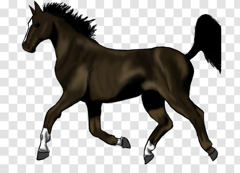 Pony Trot Mane Stallion Thoroughbred - Animal Figure - Sketch Horse Transparent PNG