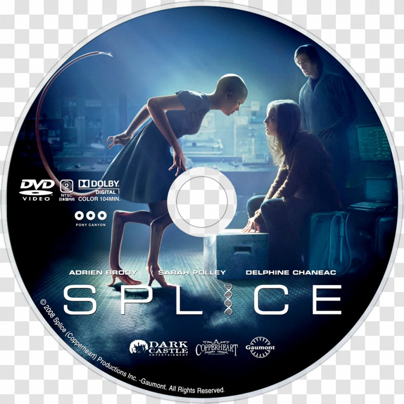 Film Director Dren DVD Cinema - Cube - Splice Transparent PNG