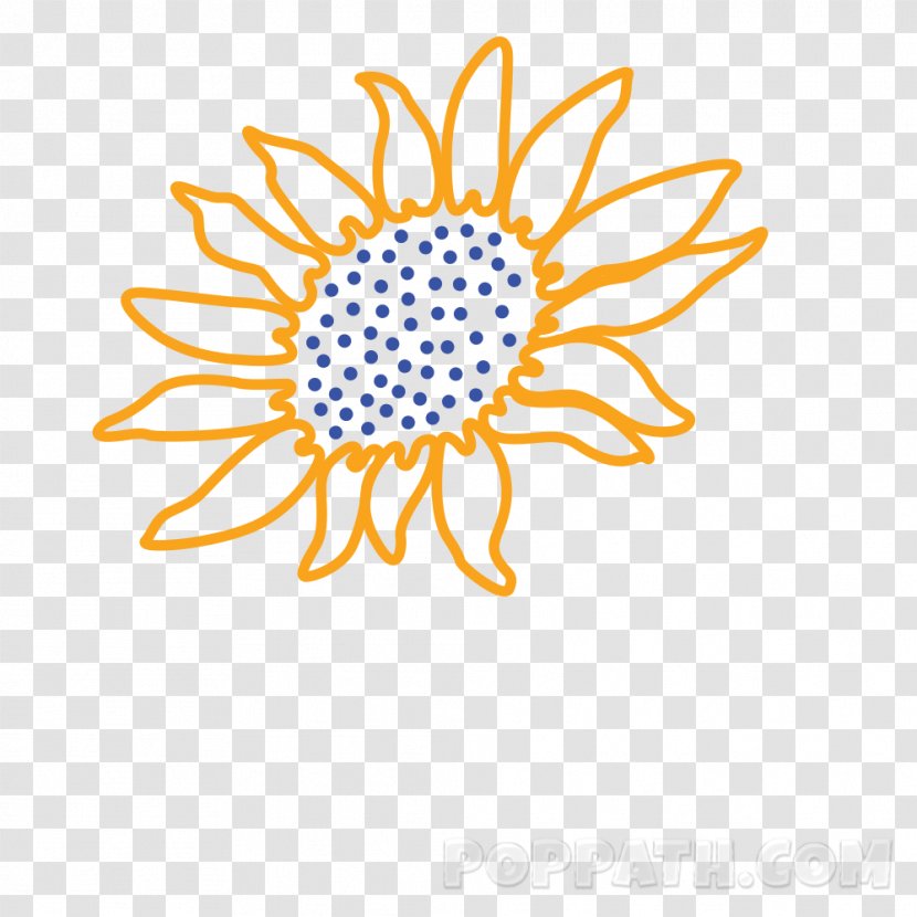 Common Sunflower Drawing Coloring Book - Flower Transparent PNG