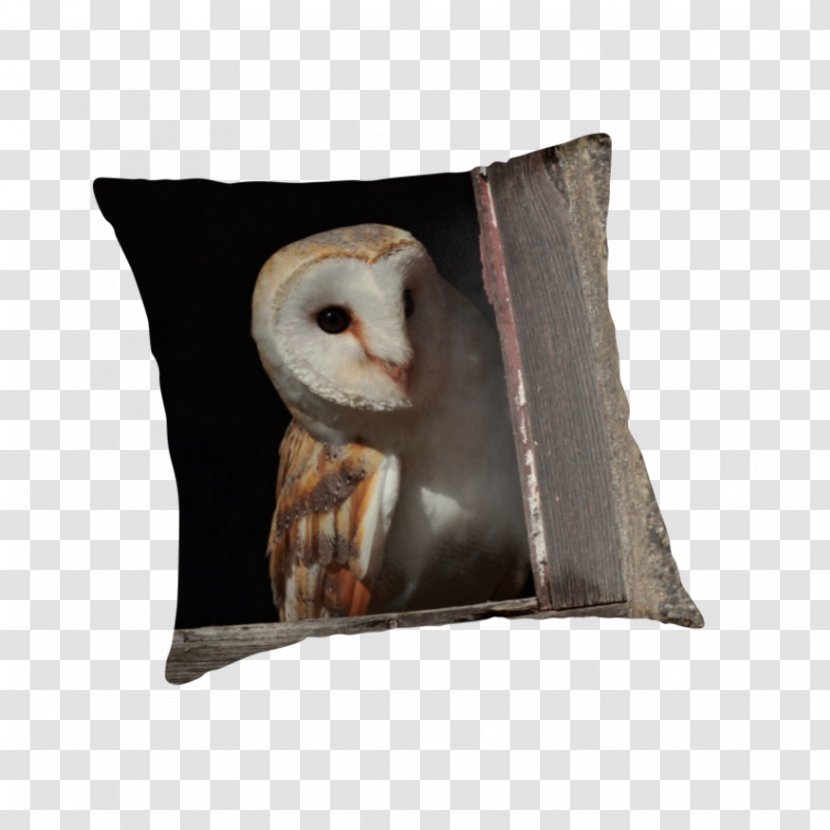 Owl Throw Pillows Cushion Snout - Bird Of Prey - Barn Transparent PNG