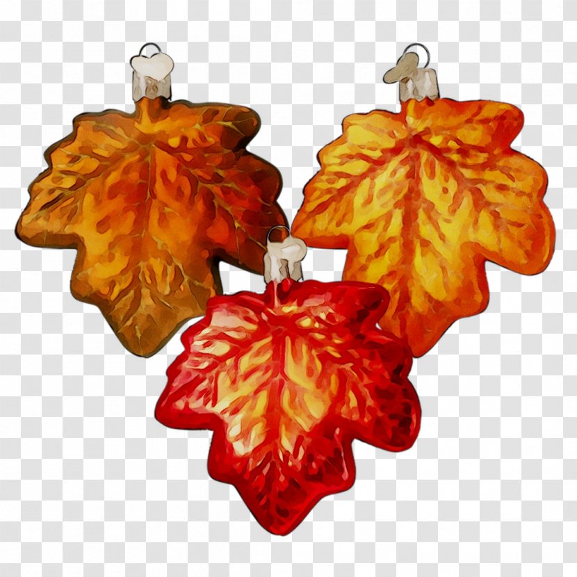 Earring Leaf Christmas Ornament Orange S.A. - Earrings - Fashion Accessory Transparent PNG