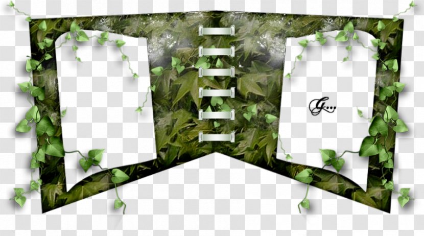 Tree Leaf - Plant - Carte Postale Transparent PNG