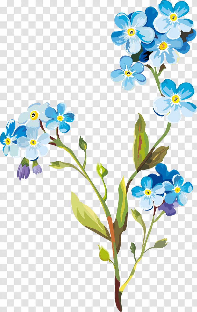 Flower Drawing Clip Art - Cut Flowers - Spring Transparent PNG
