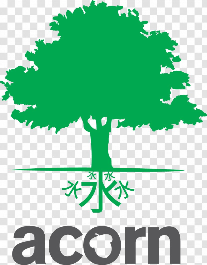 Acorn International Network Pte Ltd Business Organization Limited Company Tree - Insurance Transparent PNG