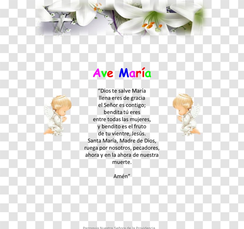Contrition Lord's Prayer Catholicism Creed - Petal - Ave Maria Transparent PNG