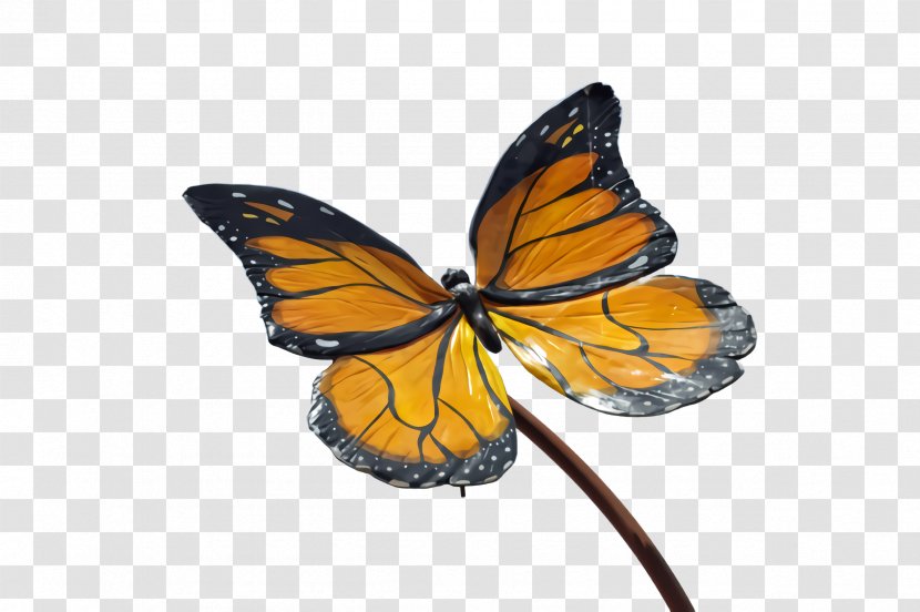 Monarch Butterfly - Viceroy Lycaenid Transparent PNG