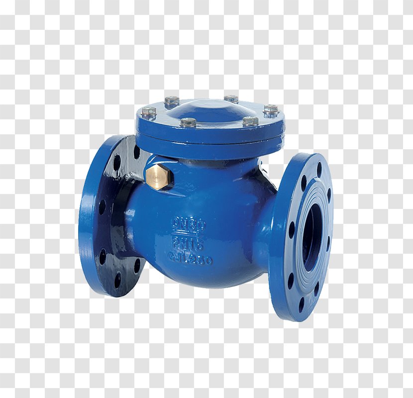 Check Valve Flange Ball Nominal Pipe Size - Double Transparent PNG