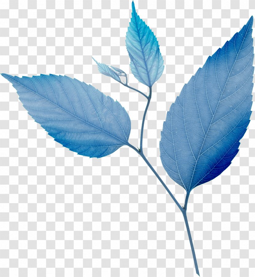 Leaf Blue Green - Microsoft Paint Transparent PNG