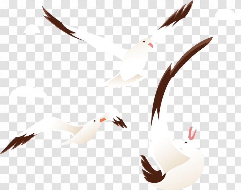 Beak Goose Bird Cygnini Duck - Ducks Geese And Swans - The Circling Wild Transparent PNG
