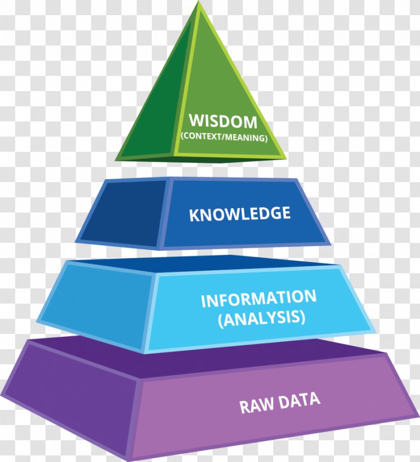 DIKW Pyramid Business Intelligence Knowledge Organization Information - Diagram - Head And Neck Cancer Transparent PNG