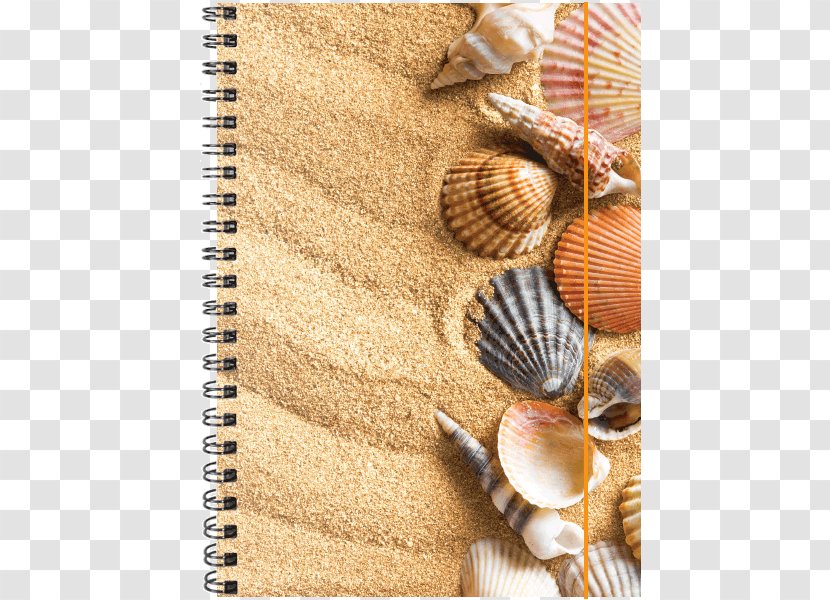 Stock Photography Sand Royalty-free Transparent PNG