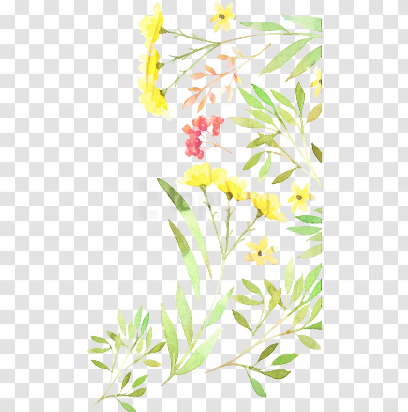 Floral Wedding Invitation Background - Design - Wildflower Plant Stem Transparent PNG