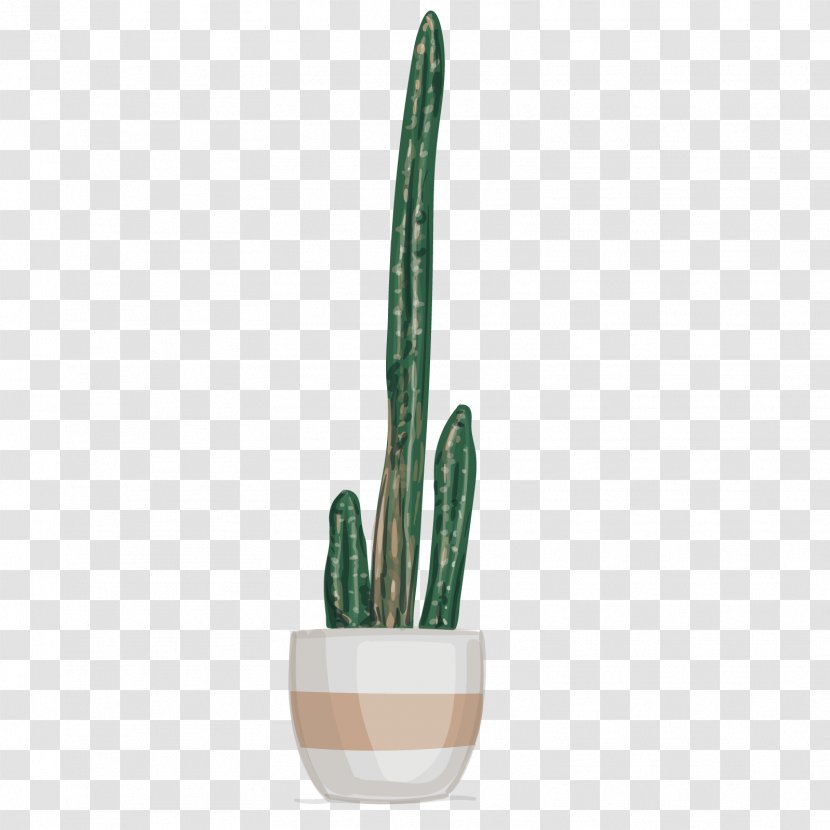 Cactaceae Plant - Vector Cactus Transparent PNG