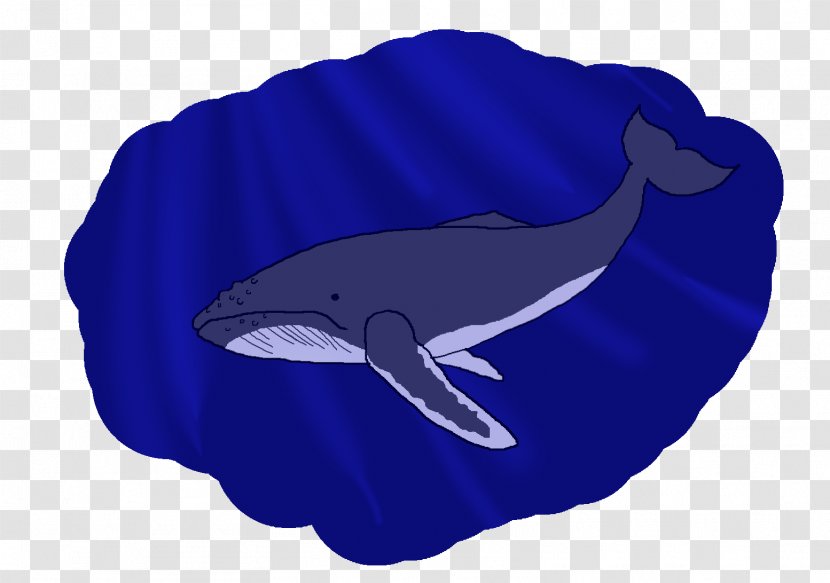 Dolphin Porpoise Cetacea Fish - Marine Mammal Transparent PNG
