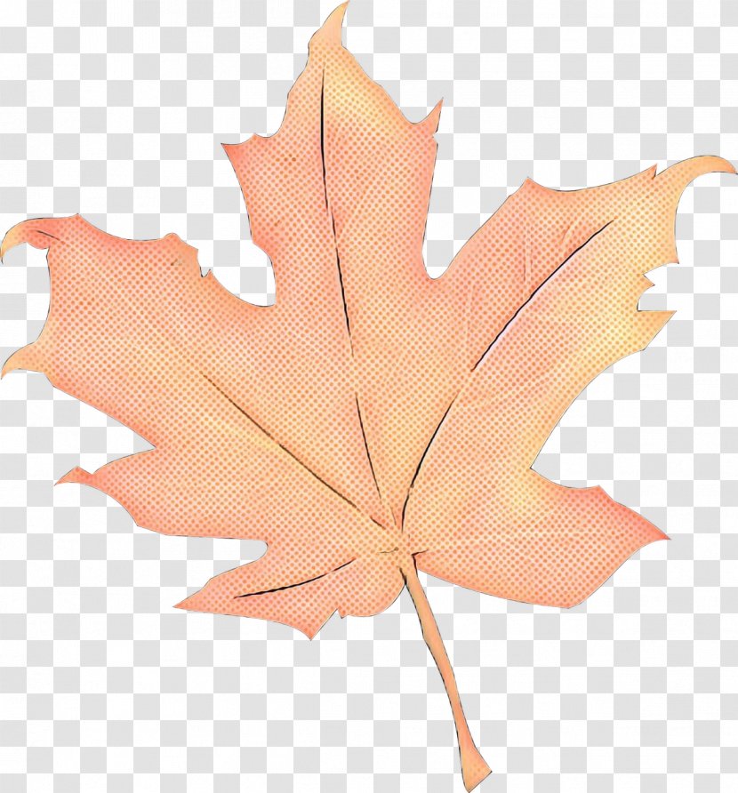 Canada Maple Leaf - Planetree Family - Silver Flower Transparent PNG