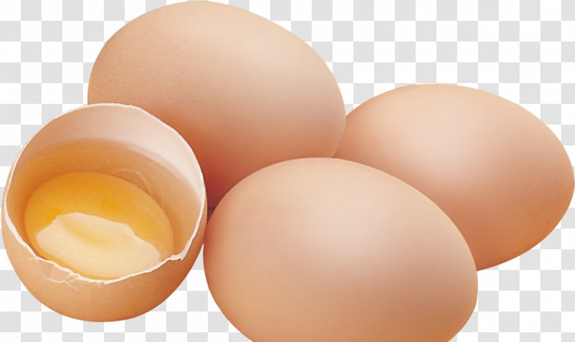 Chicken Egg Yolk - White Transparent PNG