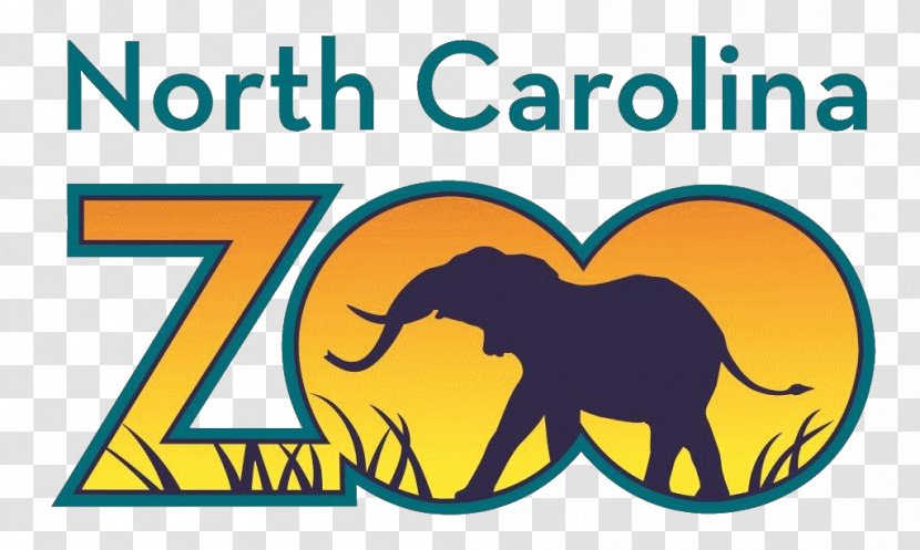 North Carolina Zoo Aloha Safari Sea Life Charlotte-Concord Otter - Aquariums Transparent PNG