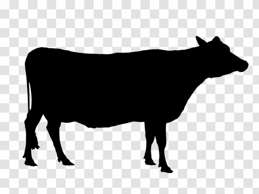 Angus Cattle Texas Longhorn Holstein Friesian Calf Beef - Ox Transparent PNG