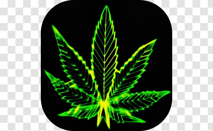 Desktop Wallpaper Cannabis Sativa Computer - Psychedelic Drug Transparent PNG