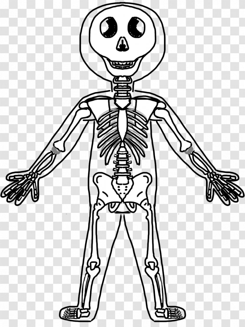 Human Skeleton Body Bone Clip Art - Tree - Picture For Kids Transparent PNG