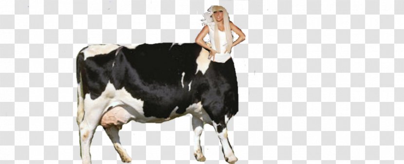 Dairy Cattle Taurine Milkmaid Race - Cow Goat Family Transparent PNG