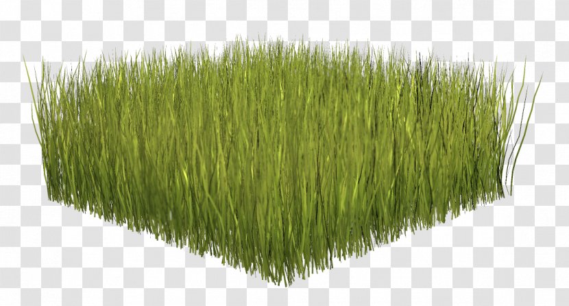 Herbaceous Plant Clip Art - Lawn - Commodity Transparent PNG