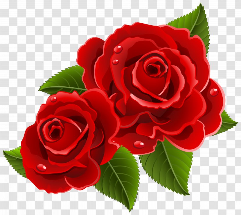 Garden Roses Flower Clip Art - Hybrid Tea Rose - Red Transparent PNG