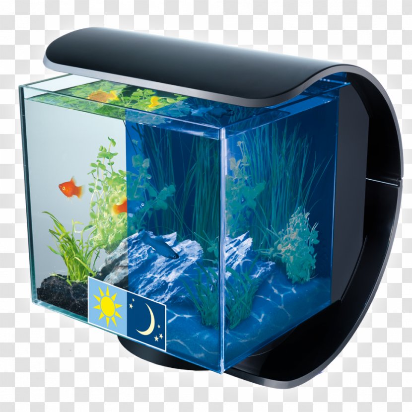 Siamese Fighting Fish Aquarium Fishkeeping Goldfish Tetra - Lightemitting Diode - Betta Transparent PNG