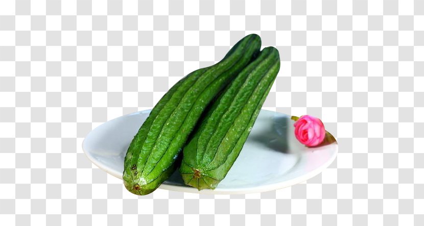 Cucumber Zucchini Melon - Luffa - A Victory Transparent PNG
