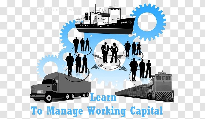 Logistics Cargo Transport Freight Forwarding Agency Supply Chain - Management - Financial Transparent PNG