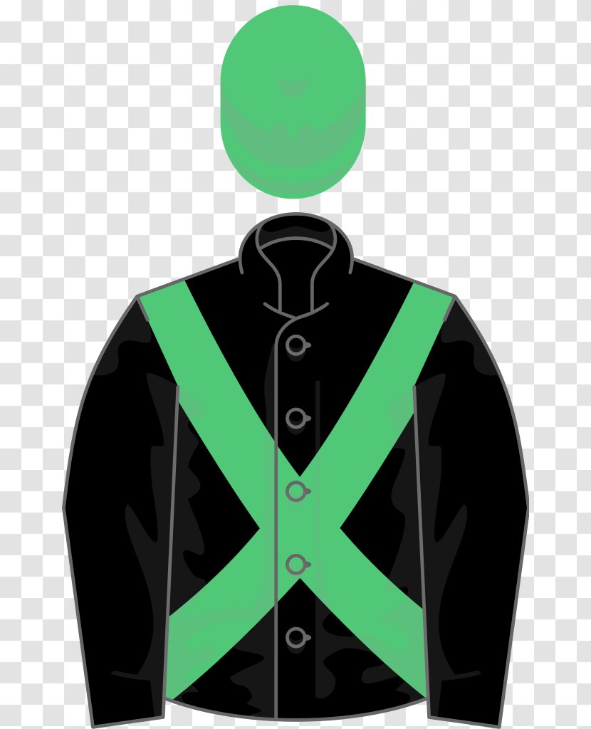Epsom Derby Horse Racing Oaks Curragh Racecourse Irish Champion Stakes - Mr Fox Transparent PNG