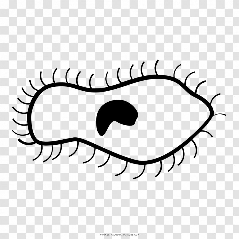 Drawing Cell Black And White Line Art - Cartoon - Sperma Transparent PNG