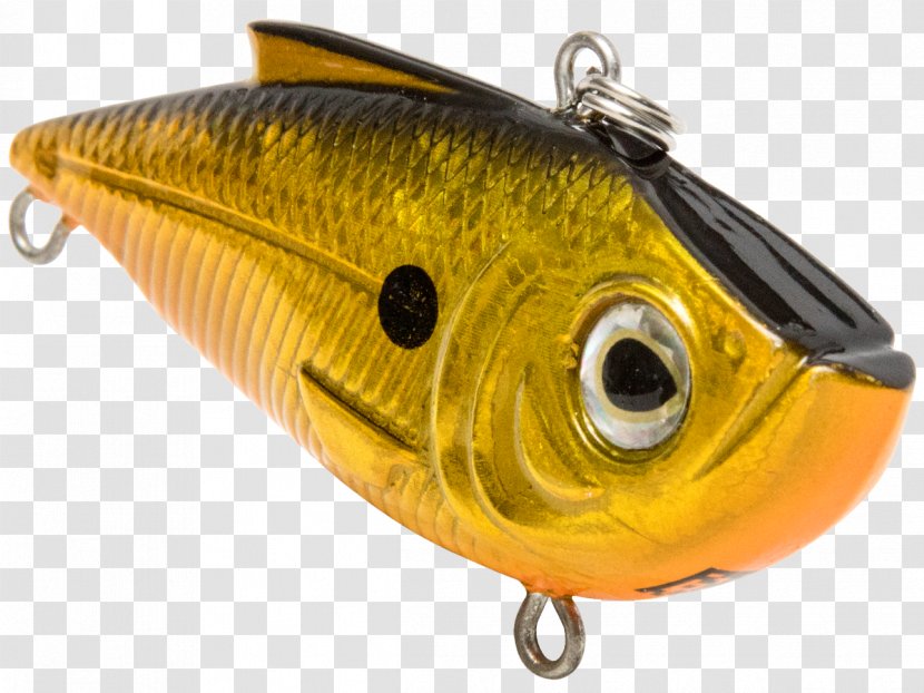 Spoon Lure Oily Fish Perch AC Power Plugs And Sockets - Ac - Gold Digger Transparent PNG