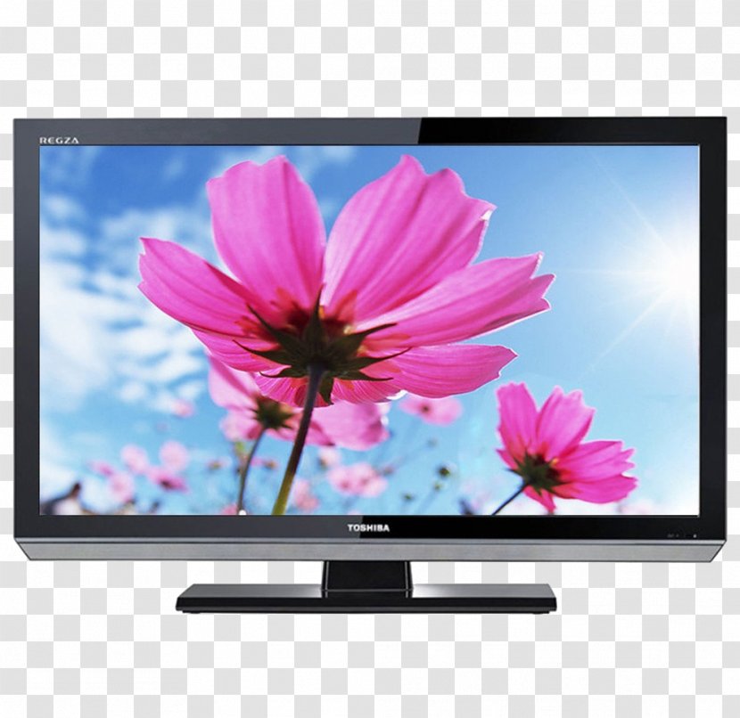 Download BlackBerry - Screen - 4-core CPU Ultra HD LCD TV Transparent PNG