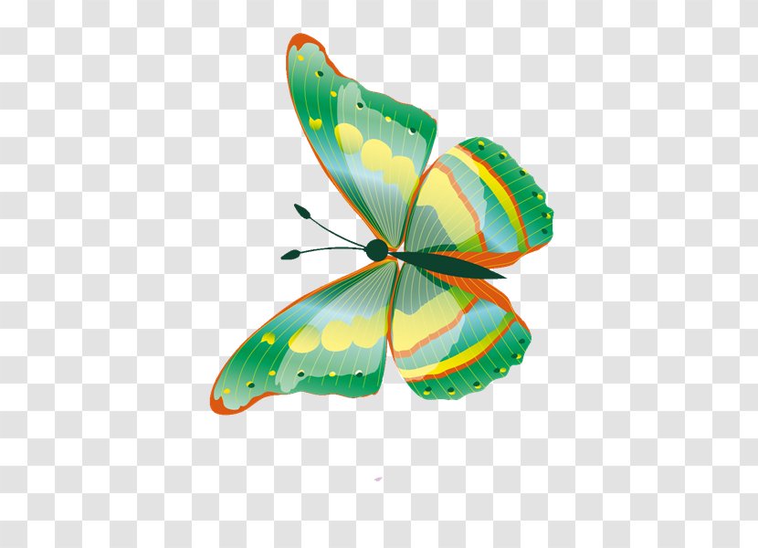 Butterfly Net Moth Graphic Design - Leaf - Cq Transparent PNG