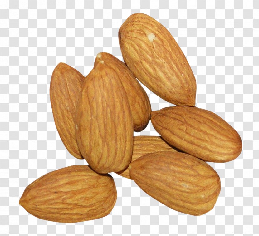 Almond Nut Food Nuts & Seeds Plant - Ingredient - Prunus Transparent PNG
