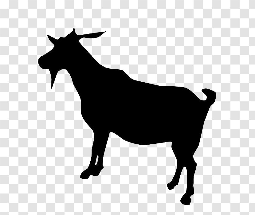 Boer Goat Dorper Cattle - Silhouette Transparent PNG