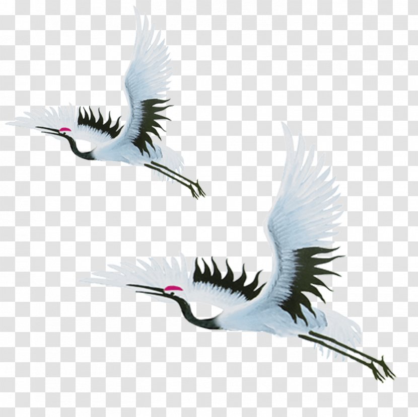 China Red-crowned Crane Bird - Information - Flying Transparent PNG