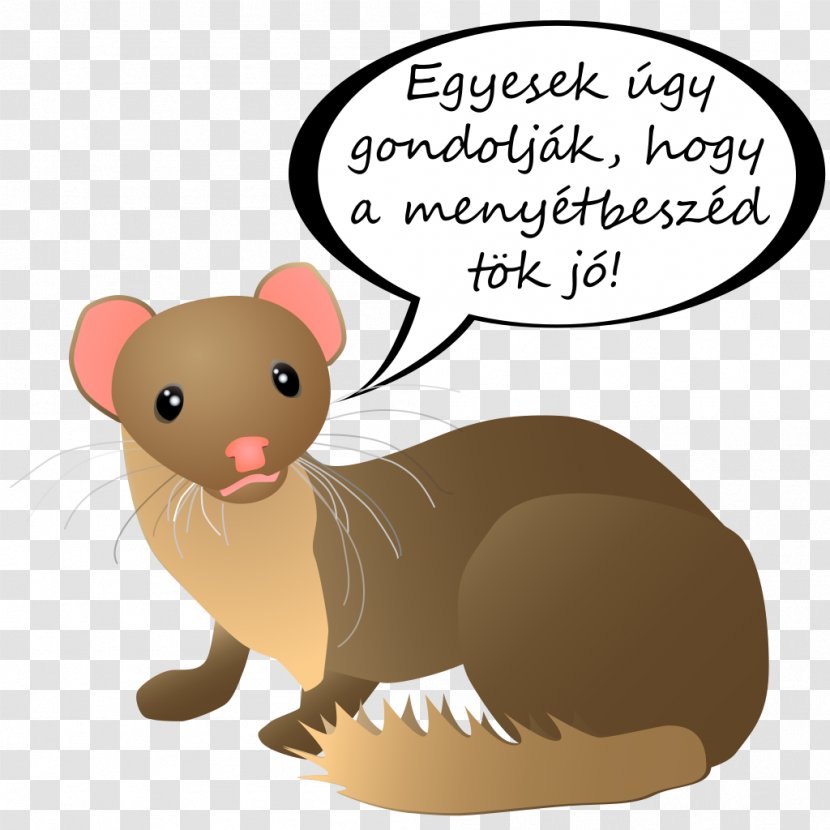 Weasel Word Weasels Phrase Information - Snout Transparent PNG