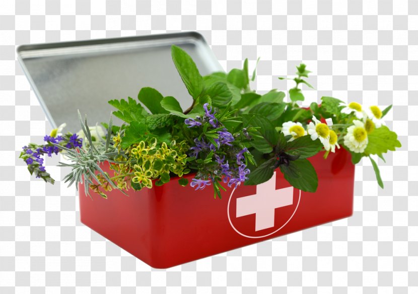 Herbal First Aid Kit Herbalism Kits Supplies - Flower - Herbs Transparent PNG