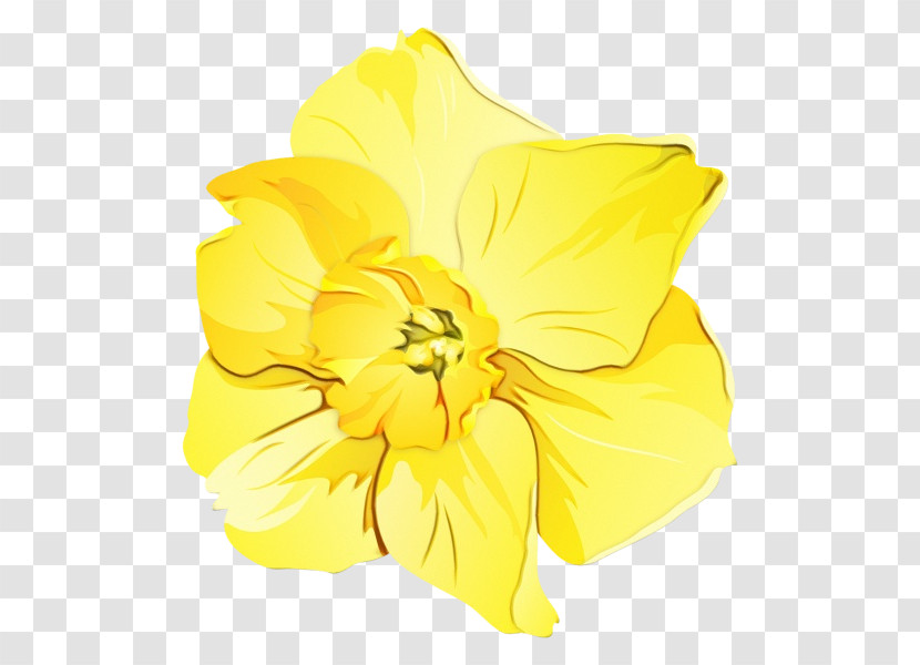 Yellow Hawaiian Hibiscus Flower Petal Plant Transparent PNG