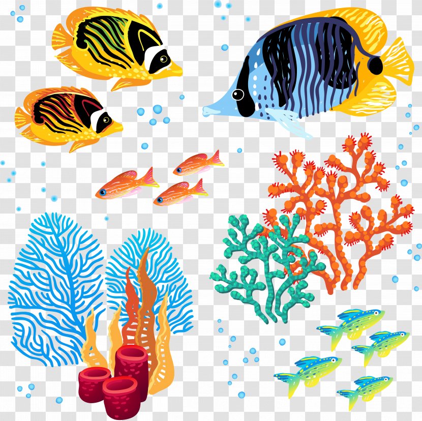 Sea Coral Reef Marine Biology - Fish Transparent PNG
