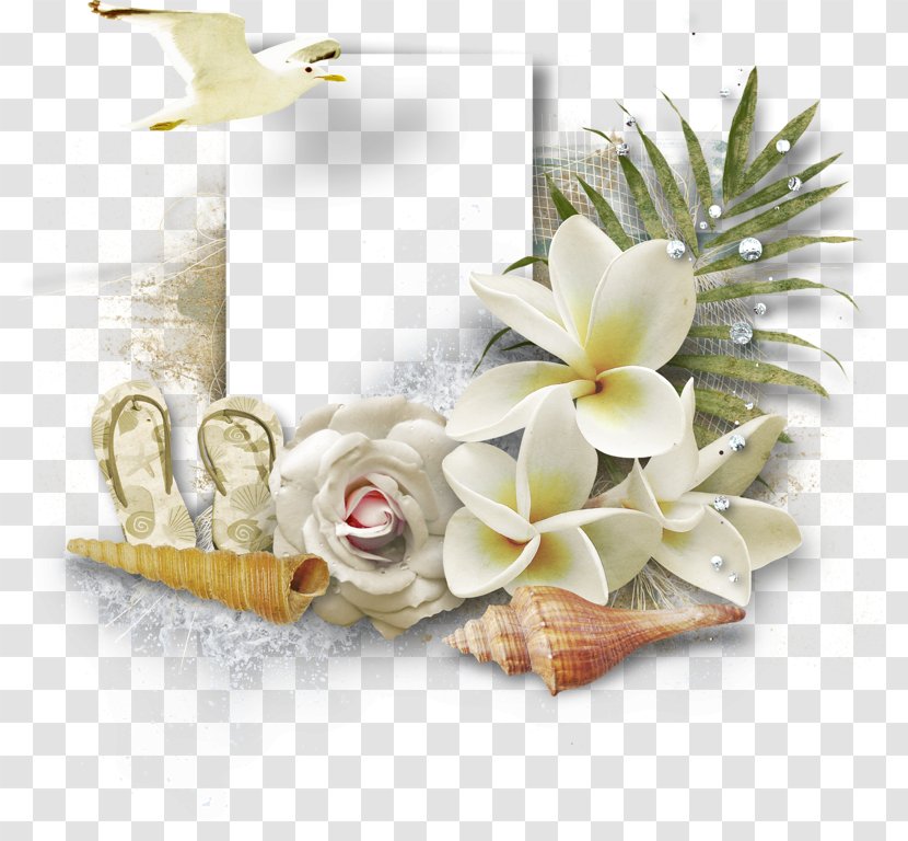 Beach Floral Design Resort Vacation - Flowering Plant Transparent PNG