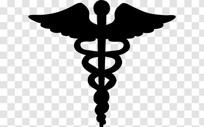 Staff Of Hermes Caduceus As A Symbol Medicine New York Institute Technology College Osteopathic Clip Art - Doctor Transparent PNG