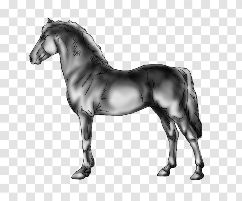 Mustang Mane Stallion Mare Foal - Horse Harness Transparent PNG