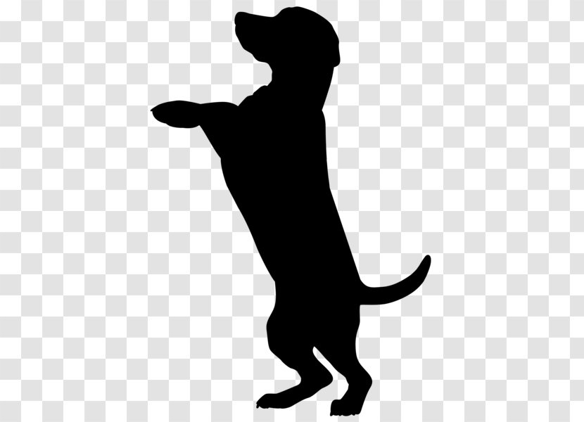 Dog And Cat - Dobermann - Retriever Carnivore Transparent PNG