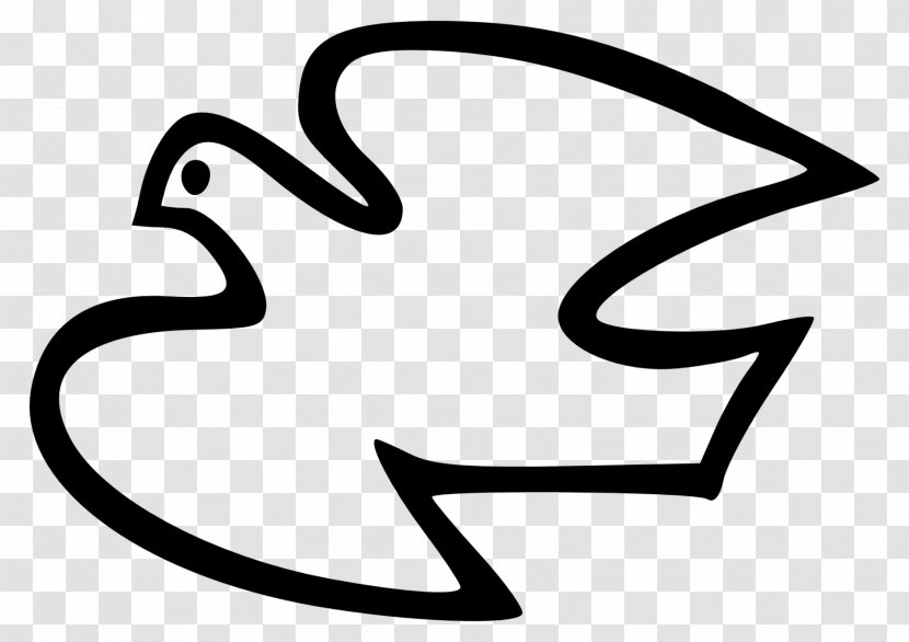 Columbidae Clip Art - Line - White Pigeons Transparent PNG